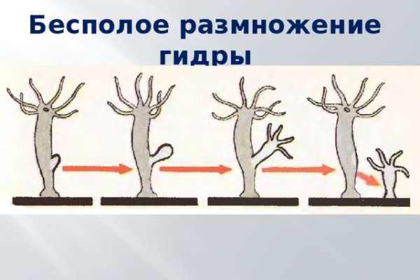 Кракен тор gigageek ru