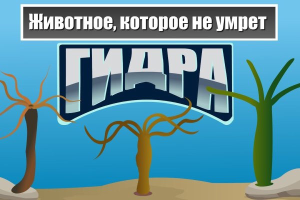 Кракен ссылка store