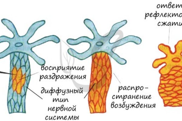 Кракен актуальные
