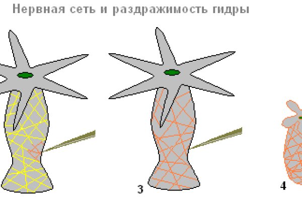 Ссылка даркнет маркет
