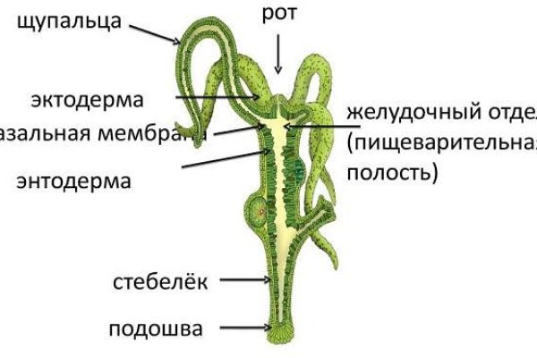 Kra38cc