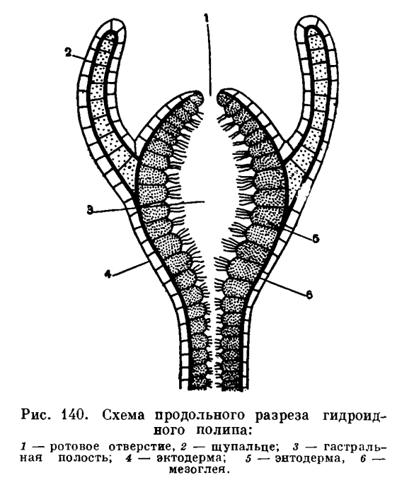 Площадки в даркнете