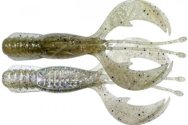 Kraken19at
