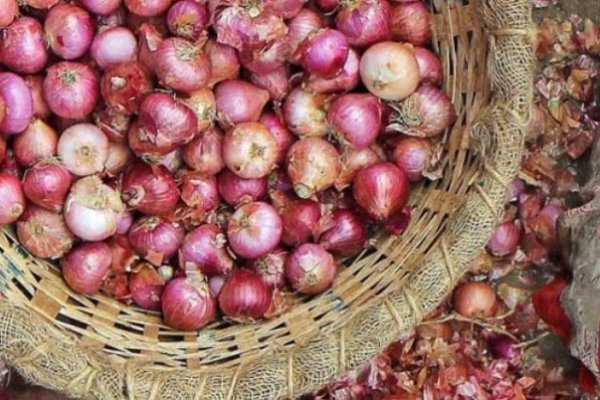 Ссылка на кракен в тор браузере