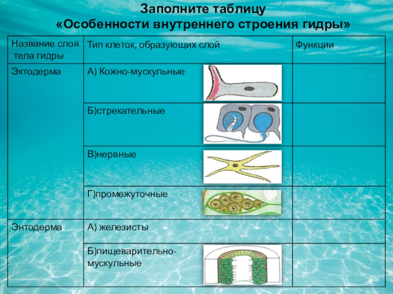 Открыть даркнет