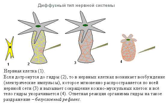 Кракен даркнет зайти